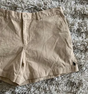 Polo Tan Earth Tones Ralph Lauren Preppy Shorts thumbnail 2