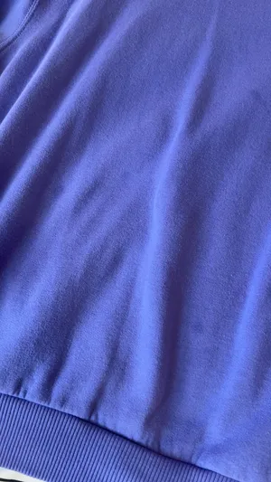 Hollister Purple  Sweatshirt. thumbnail 5