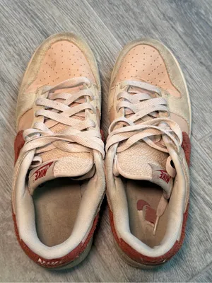Nike Dunk Low Terry Swoosh Sneaker Women's Size 8 DZ4706-209 thumbnail 4