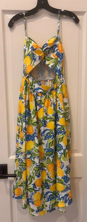 Multicolor Boho Women's Spaghetti Strap V-Neck Knotted Waist A-Line Midi Dress thumbnail 1