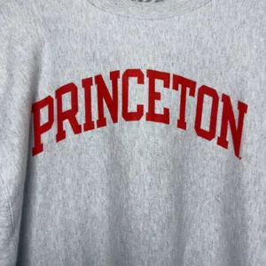 Champion Unisex‎ Cotton Sweatshirt Large Gray Princeton Reverse Weave Crewneck thumbnail 4