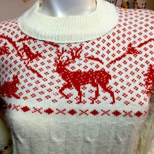 HOST PICK 🎉🎉🎉🎉Milford Deer sweater‎ thumbnail 2