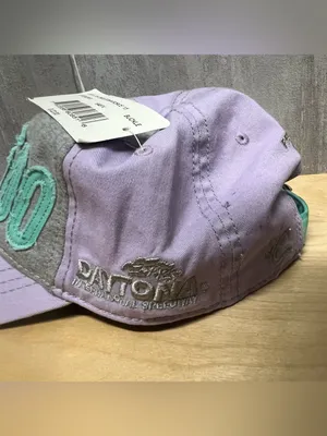 NASCAR Daytona 500 February 2015 The Chase Lavender Baseball Cap New Adj. thumbnail 2