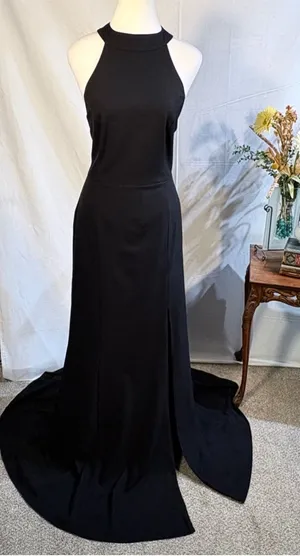 💥BHLDN Serephina Black Crepe Backless Halter Maxi Gown Side Slit Sz 12🧡 thumbnail 1
