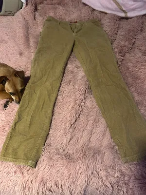 Dickies Cargo Pants thumbnail 1
