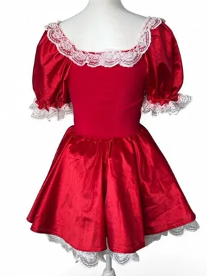 Vintage Rubies Southern Belle Costume thumbnail 3