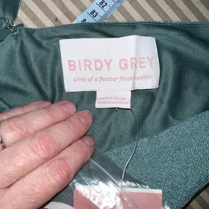 Stunning New Birdy Grey Shamin Crepe Sea Glass Gown! thumbnail 7