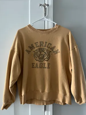 American Eagle Outfitters Sweatshirt thumbnail 1