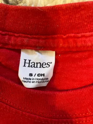 Hanes Wisconsin Badgers Tee thumbnail 2