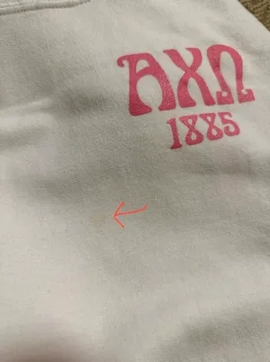 Alpha Chi Omega Sweatshirt thumbnail 3