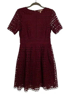 Burgundy Wine Lace Fit and Flare Dress. H&M size S thumbnail 1