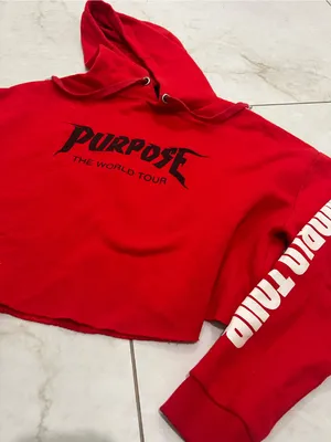 Justin Bieber Red Purpose World Tour Cropped Hoodie Size Small thumbnail 2