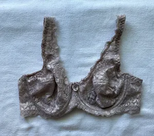 Nude Pink Lacy Bra With Underwire thumbnail 1