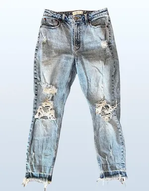 Abercrombie and Fitch Curve Love High Rise Mom Jean, Size 27 (4) Regular thumbnail 5
