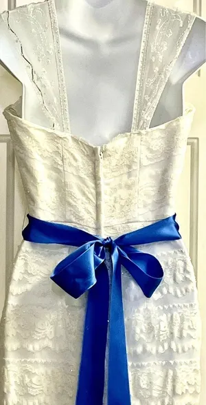David’s Bridal Galina Ivory Wedding Dress- Size 8 thumbnail 6