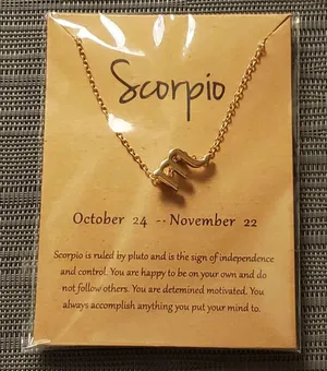 SCORPIO Zodiac Sign Pendant Necklace thumbnail 1
