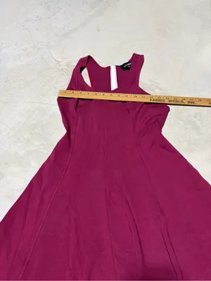 Aritzia Wilfred free Berry-Tone Sleeveless Fit & Flare Mini Dress 8 thumbnail 4