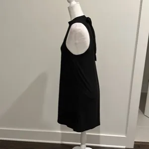 NWT Evereve RD Style Keyhole Mock Neck Tie Dress Sz L thumbnail 3