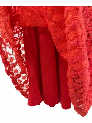 Anthropologie Birdcage Francesca’s Collection Coral Lace Fit & Flare Dress S thumbnail 4