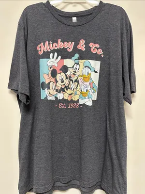 Mickey & Co Gray Disney Graphic Tee Shirt by Bella-Canvas size 3XL thumbnail 1