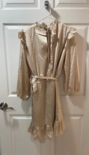 NWT Champagne Asymmetrical Dress thumbnail 5