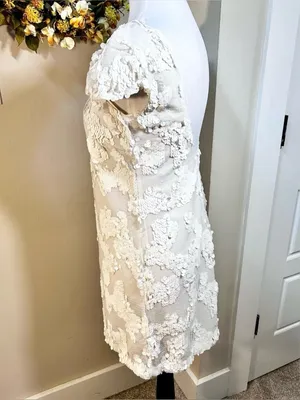 Dress the Population Brooke White Sequin Illusion Mesh Cap Sleeve Dress Sz XS💛 thumbnail 8