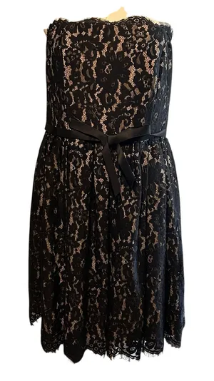Party Dress NWT Lace Gothic Formal Women's SZ 14 Robert Rodriguez Nieman Marcus thumbnail 1