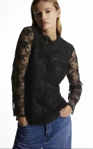 Zara Sequin Lace‎ Top thumbnail 1