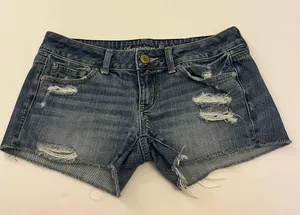 American Eagle Outfitters Short thumbnail 1