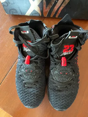 Nike LeBron Basketball Shoes XVII thumbnail 2