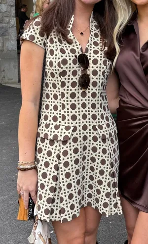 Mestiza mini dress Brown Size 2 thumbnail 4