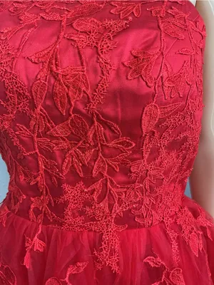 Wedding Dress VNAIX Red Lace Embroidered Tulle Ball Gown Size 6 thumbnail 15