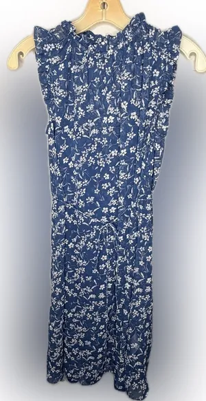 Banana Republic Blue Floral Dress thumbnail 1