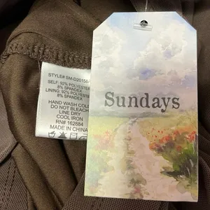 NEW Sundays Brown Ruched Sleeveless Cami Camisole Bodycon Corset Tank Dress Sz M thumbnail 4