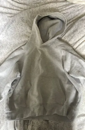 Aritzia Hoodie thumbnail 1