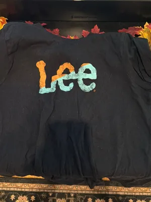 Lee Top thumbnail 1