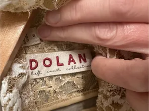 ANTHRO | DOLAN Sheer Lace Mockneck Blouse thumbnail 5
