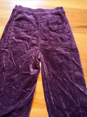 Pilcro Anthropologie Wide-Leg Corduroy Pants in Rust thumbnail 10