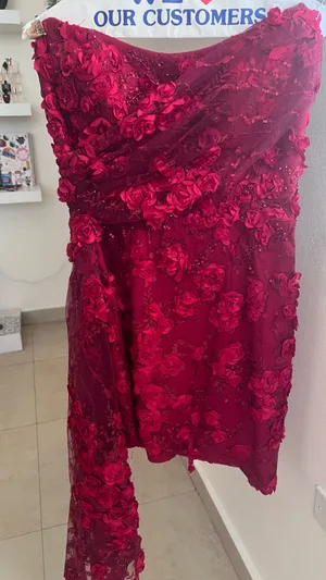 Red Gala Style Mini Dress | Nativa Boutique thumbnail 1