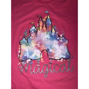 Anvil Pink Disney Magic Kingdom T Shirt Size Medium thumbnail 2