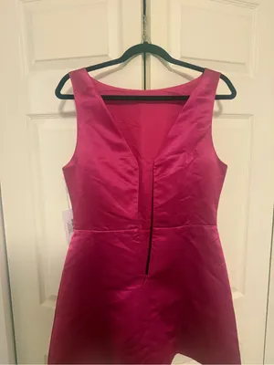 NWT Reformation Zenni Dress Rhubarb Pink Raspberry Mini Dress Boatneck Size 8 thumbnail 6