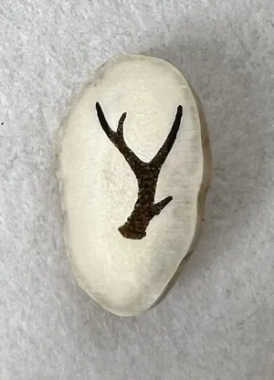 Real Deer Antler Engraved Pin thumbnail 1