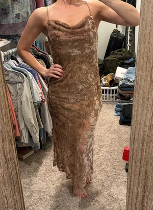 Vici Velvet Burnout Dress thumbnail 1