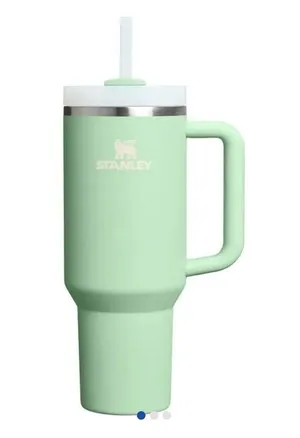 Stanley The Quencher H2.o Flowstate Tumbler 30 Oz in pistachio $44 thumbnail 1