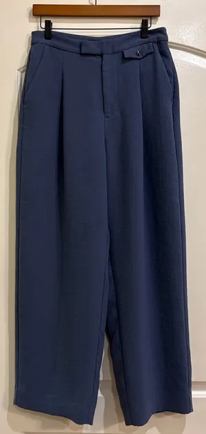 Madewell High Rise Wide Leg Single Pleat Pants in Dusty Blue Size 8 thumbnail 1