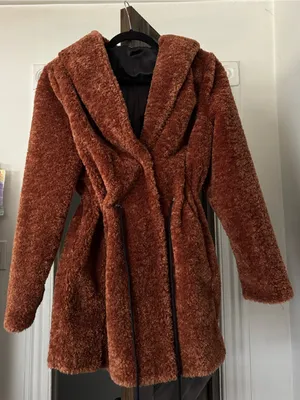 Plush Teddy Hooded Coat in Rust Brown thumbnail 1