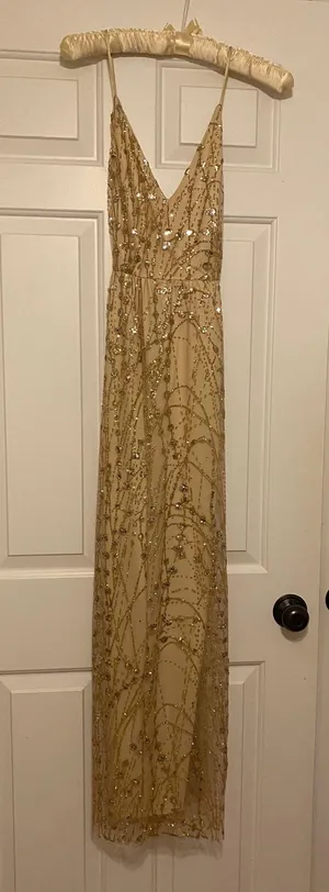 Southern Fried Chicks Sequin Dress thumbnail 3