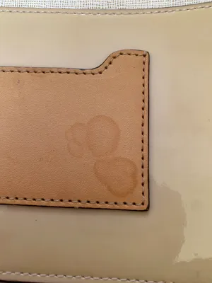 Coach Hand Bag thumbnail 3