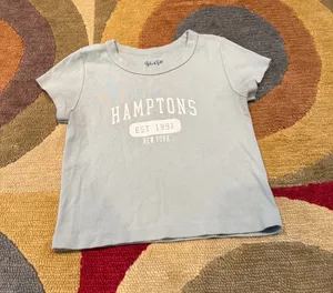 Brandy Melville Hamptons New York Crop Top Graphic Shirt 100% Cotton One Size thumbnail 1