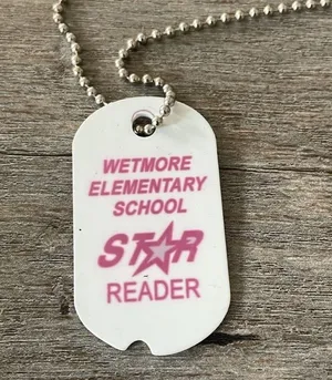 Wetmore Elementary School Star Reader Tag With Chain, Vintage Award thumbnail 2